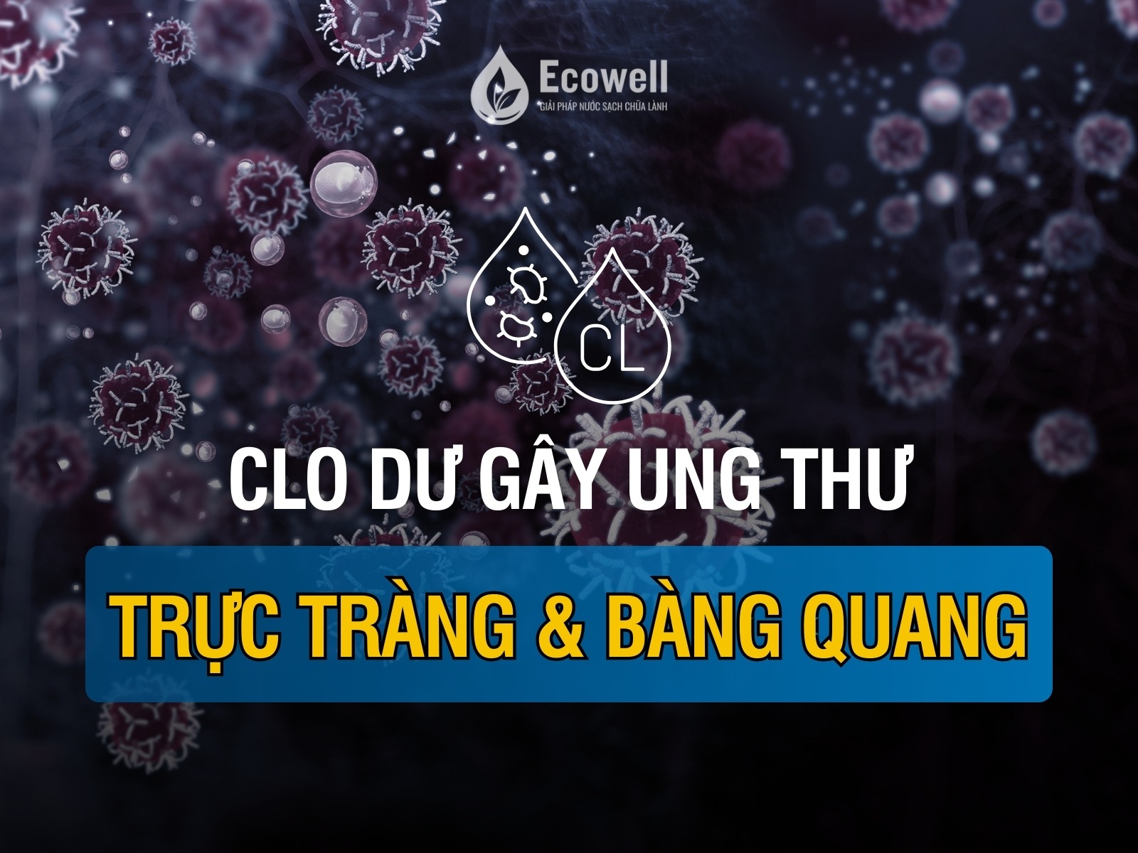 Clo dư trong nước máy: Nguy cơ ung thư trực tràng và bàng quang?