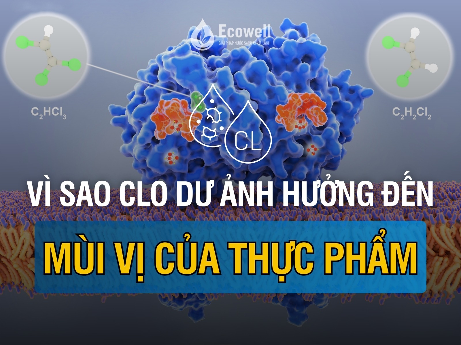 Vì sao clo dư ảnh hưởng đến mùi vị thực phẩm?